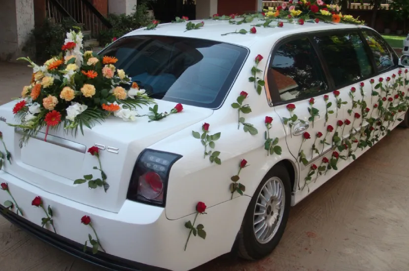 Limousine Executive
