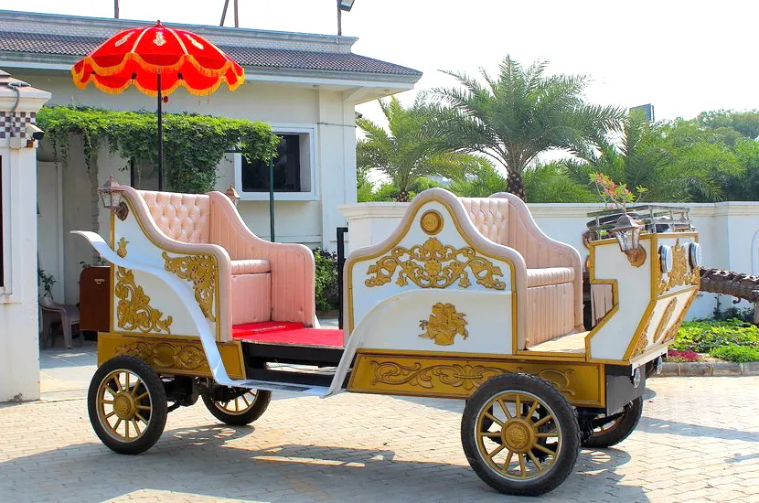 Wedding Baggi Rental in Ahmedabad
