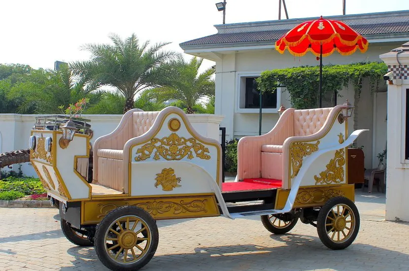 Wedding Baggi Rental in Ahmedabad