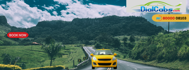 Benefits of Booking Professional Cab Services Instead of Local Taxis