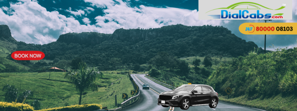 Private Vehicle Hire vs Public Transport