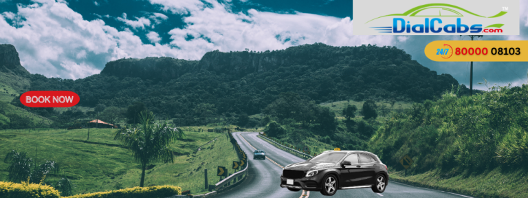 Private Vehicle Hire vs Public Transport