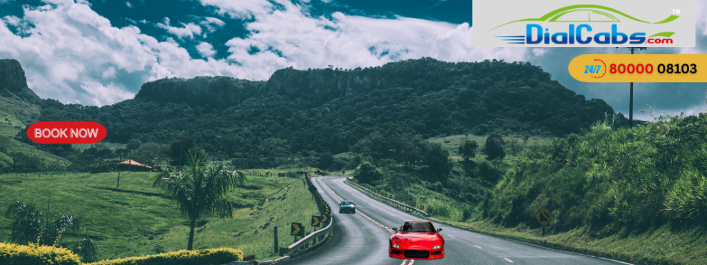 Top 5 National Parks of Gujarat for Wildlife Sanctuaries